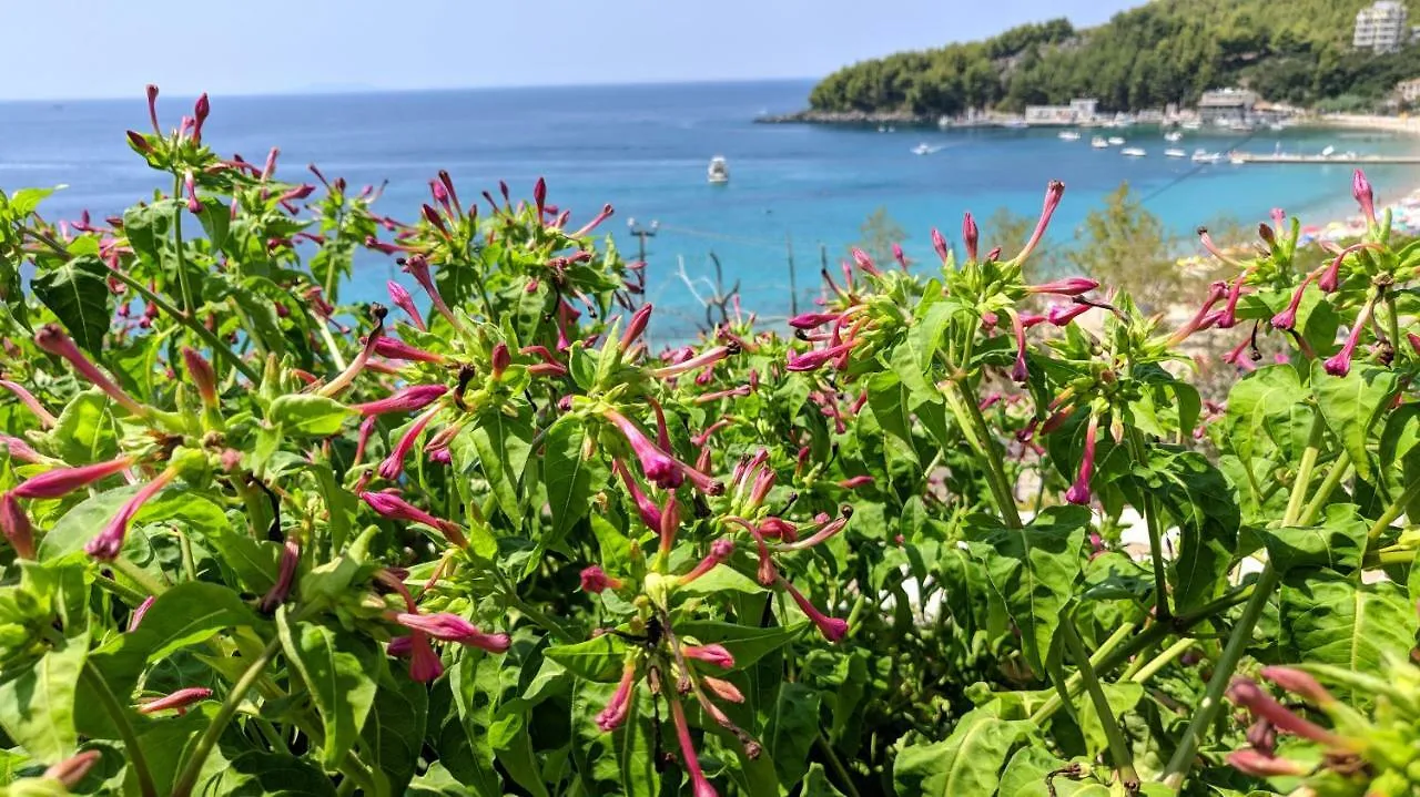 Fane'S Apartments Himare